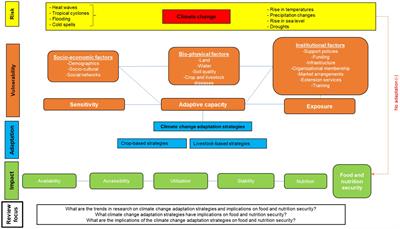 A retrospective analysis of climate adaptation strategies and implications for food and nutrition security among small-scale farmers in South Africa
